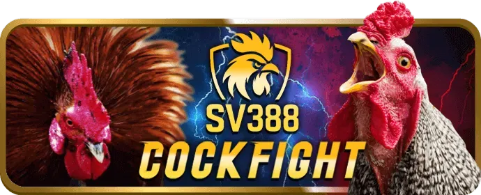Hoàn trả hàng ngày 888to